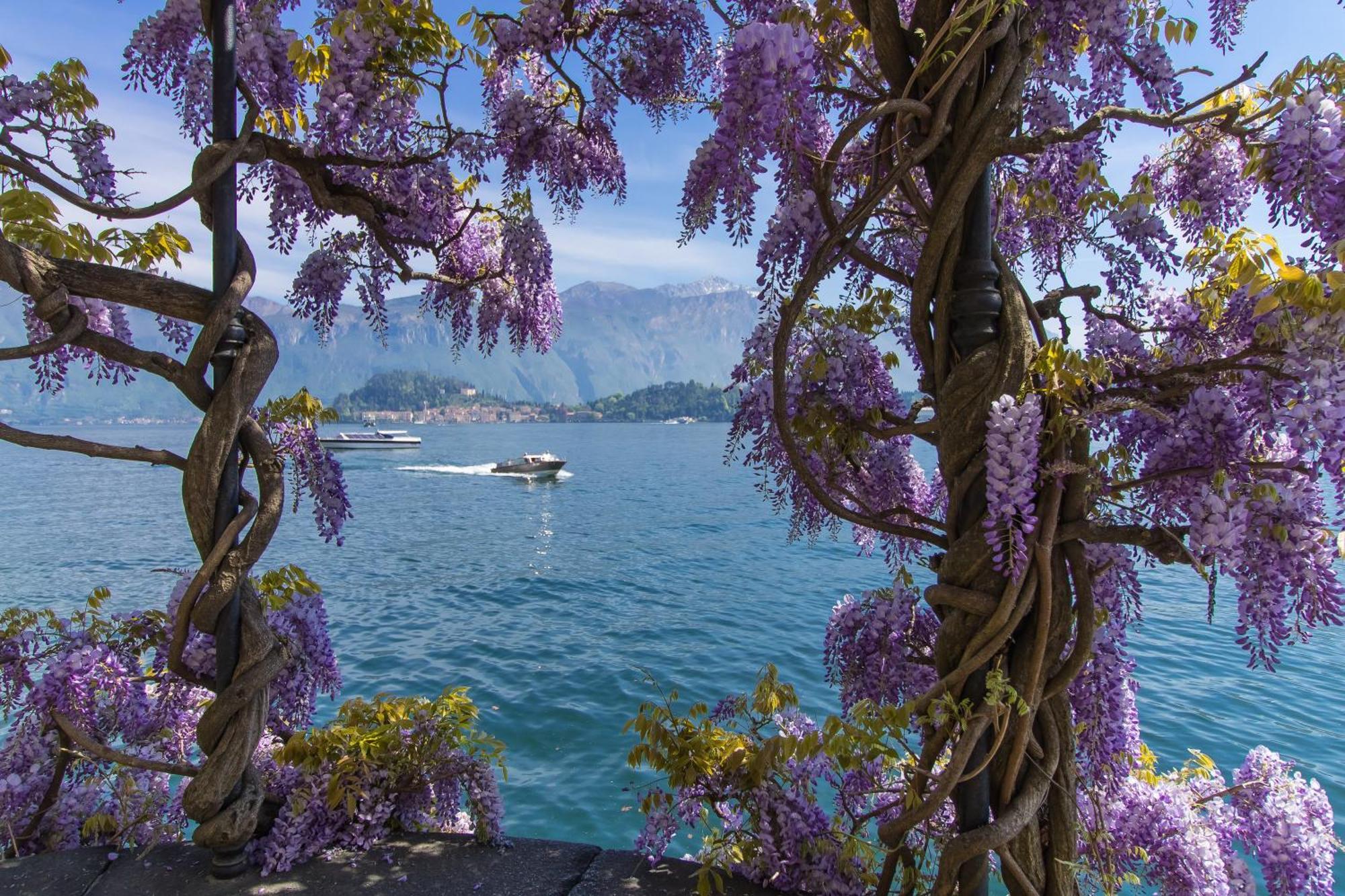 Menaggio Palphi Apartment Bagian luar foto